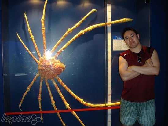  عکس بزرگترین غول واقعی جهان