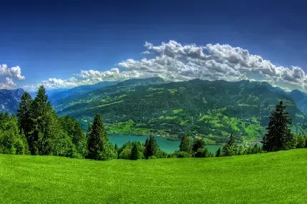  عکس شهر در شب با کیفیت