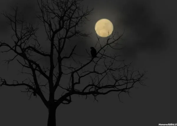  عکس شب مهتابی عاشقانه