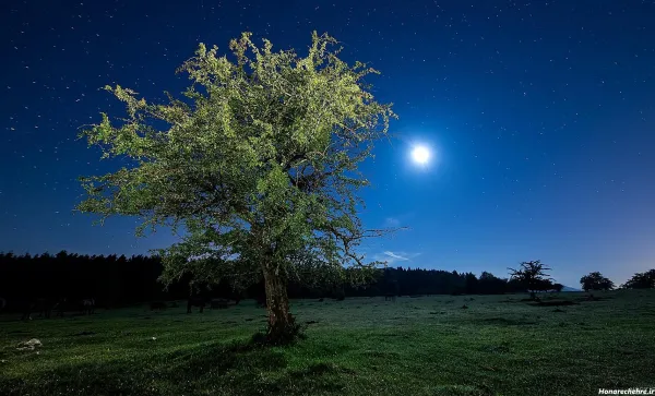  عکس شب مهتابی عاشقانه