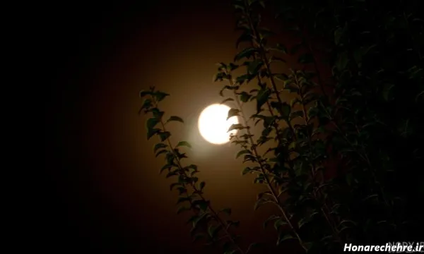  عکس شب مهتابی عاشقانه