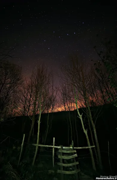  عکس شب مهتابی عاشقانه