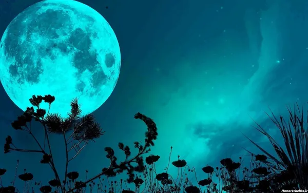  عکس شب مهتابی عاشقانه