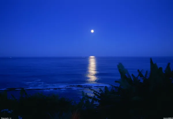  عکس شب مهتابی عاشقانه