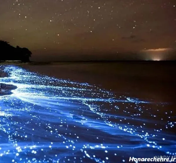  عکس شب مهتابی عاشقانه