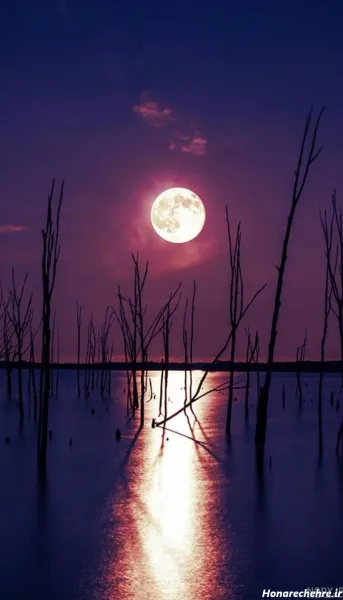  عکس شب مهتابی عاشقانه