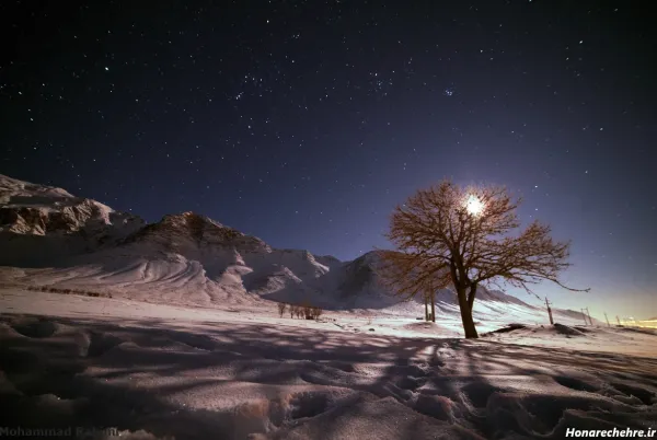  عکس شب مهتابی عاشقانه