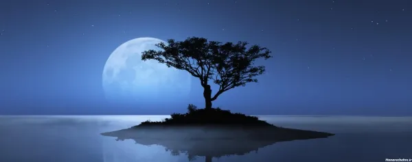  عکس شب مهتابی عاشقانه