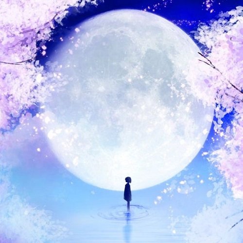 عکس ماه عاشقانه