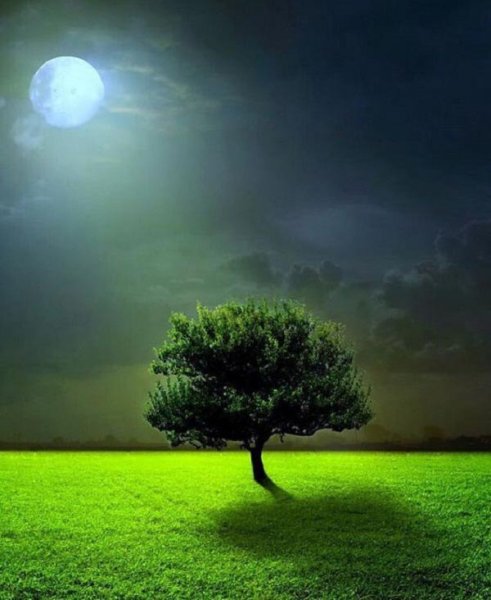  عکس ماه عاشقانه