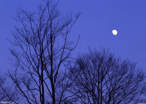 عکس ماه در شب واقعی از نزدیک