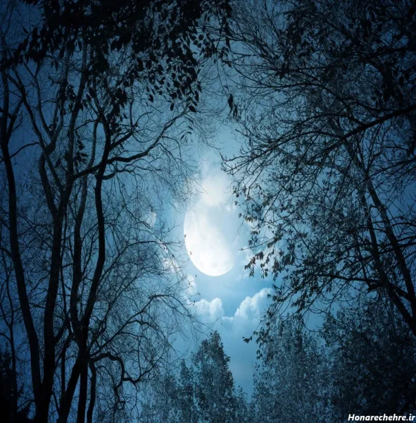 عکس ماه در شب واقعی از نزدیک