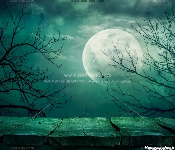 عکس ماه در شب واقعی از نزدیک