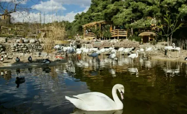  زیباترین عکس تهران