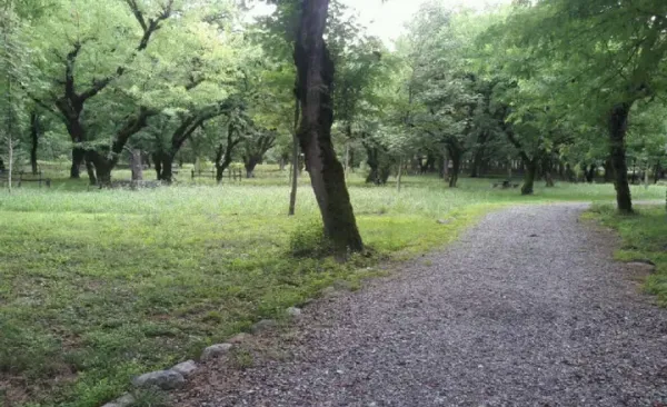 عکس از تهران امروز