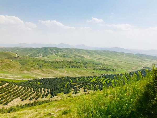  عکس از تهران امروز