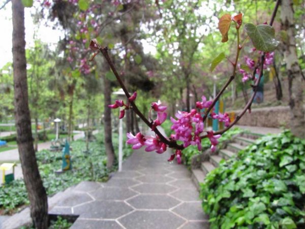  عکس از تهران امروز