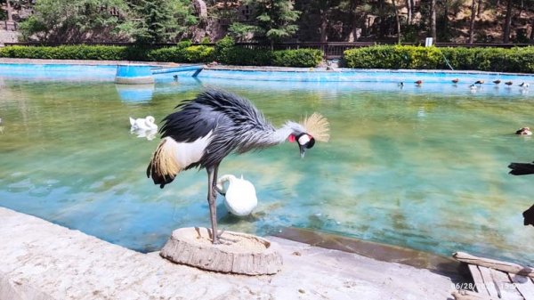  عکس از تهران برای استوری