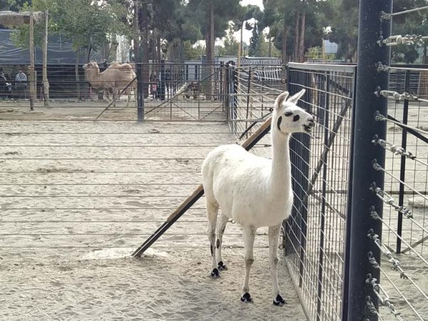  عکس از تهران برای استوری