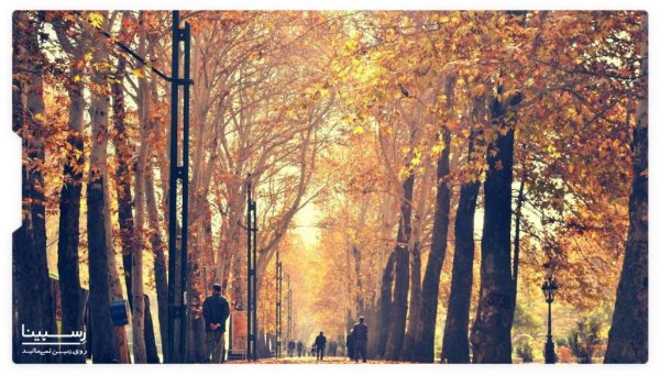  عکس خیابان تهران