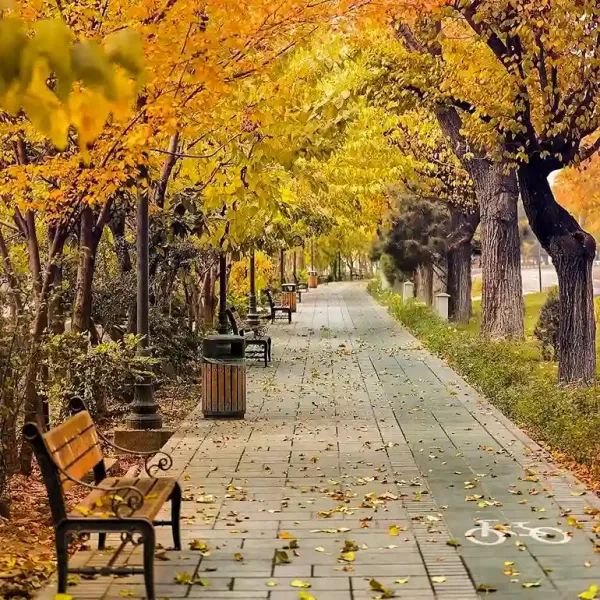  عکس از تهران زیبا