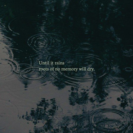  بهترین عکس بارون جنگل