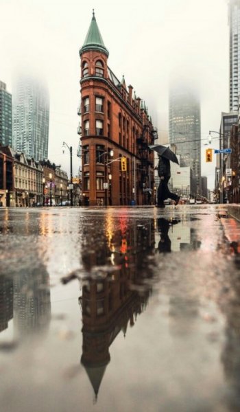  بهترین عکس بارون جنگل