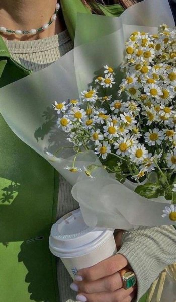  بهترین تصاویر بک گراند سبز