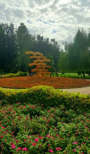  بهترین تصاویر بک گراند سبز