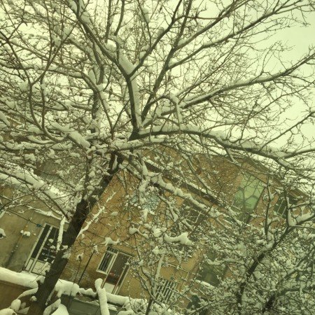  بهترین عکس زمستان