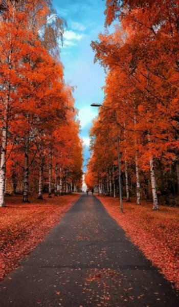  بهترین عکس پاییز