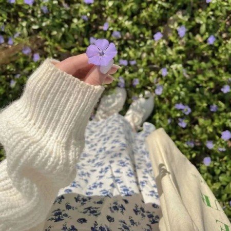  بهترین عکس بهار