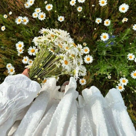  بهترین عکس بهار