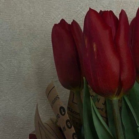  بهترین عکس بهار