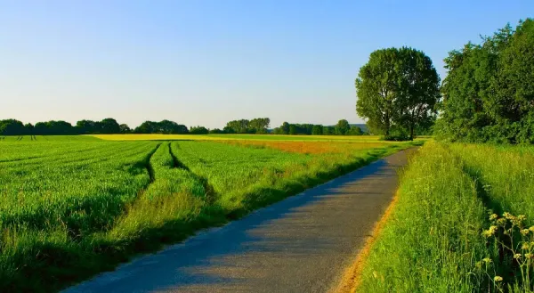  بهترین عکس تابستان