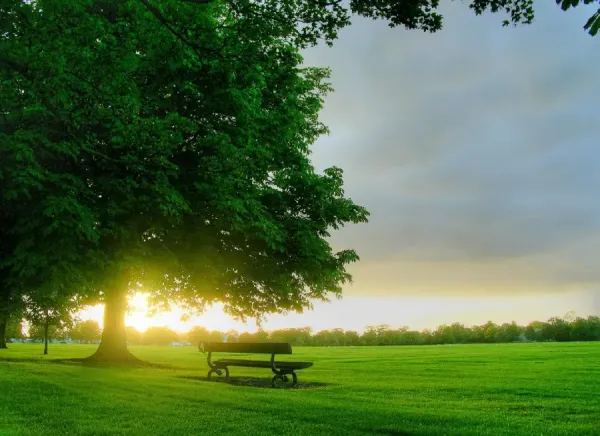  بهترین عکس تابستان