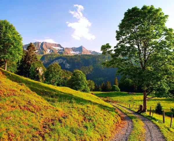  بهترین عکس تابستان