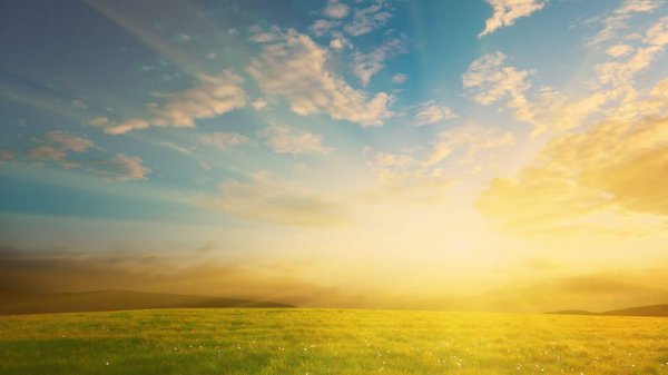 254 بهترین عکس تابستان