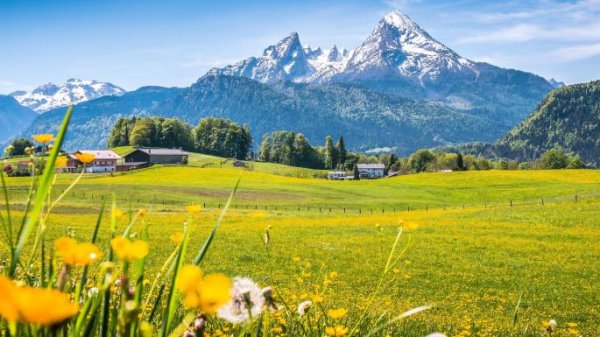  254 بهترین عکس تابستان