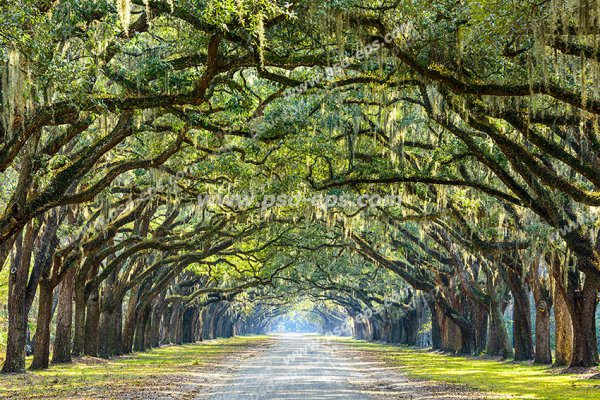  254 بهترین عکس تابستان