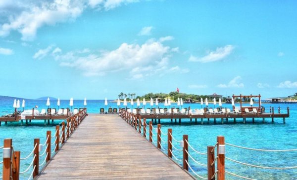  254 بهترین عکس تابستان