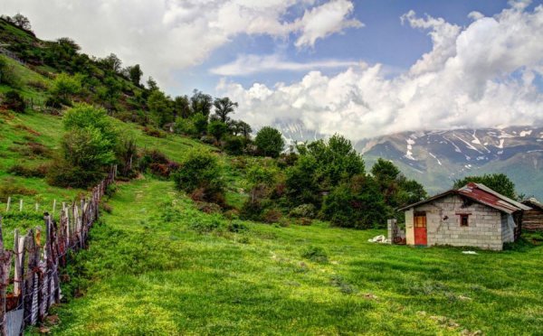  254 بهترین عکس تابستان