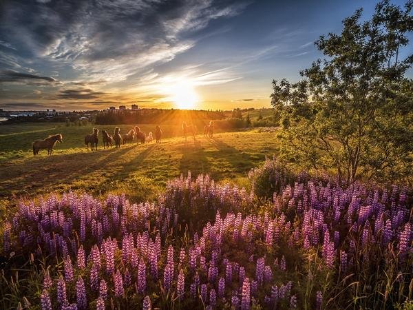  254 بهترین عکس تابستان