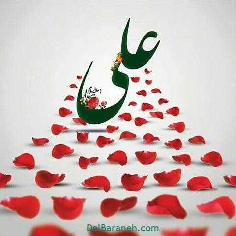  پروفایل شهادت امام علی