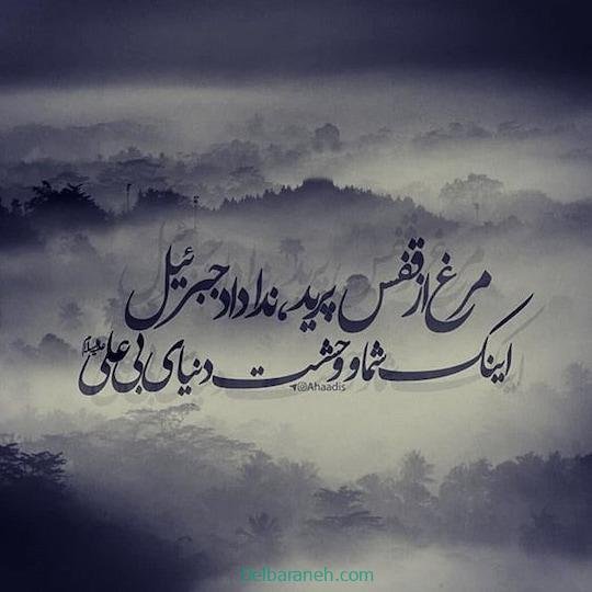  پروفایل شهادت امام علی