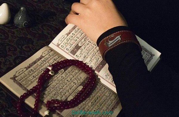  پروفایل شهادت امام علی