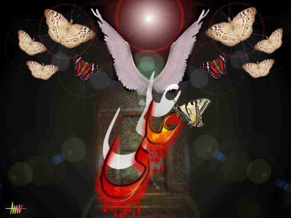  عکس و متن شهادت حضرت علی