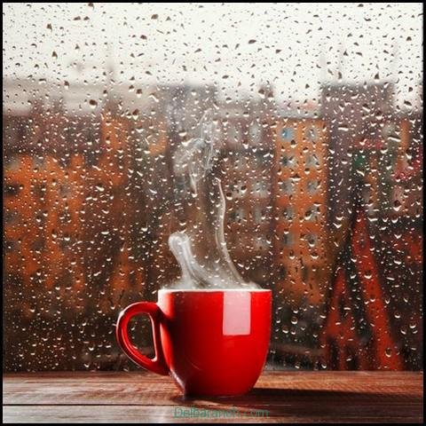  پروفایل عکس باران