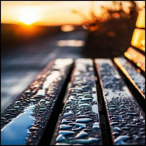  پروفایل عکس باران