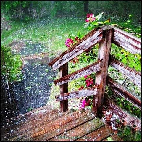  پروفایل عکس باران